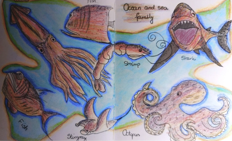 Morskie i oceaniczne zwierzęta, 24x40 cm.jpg